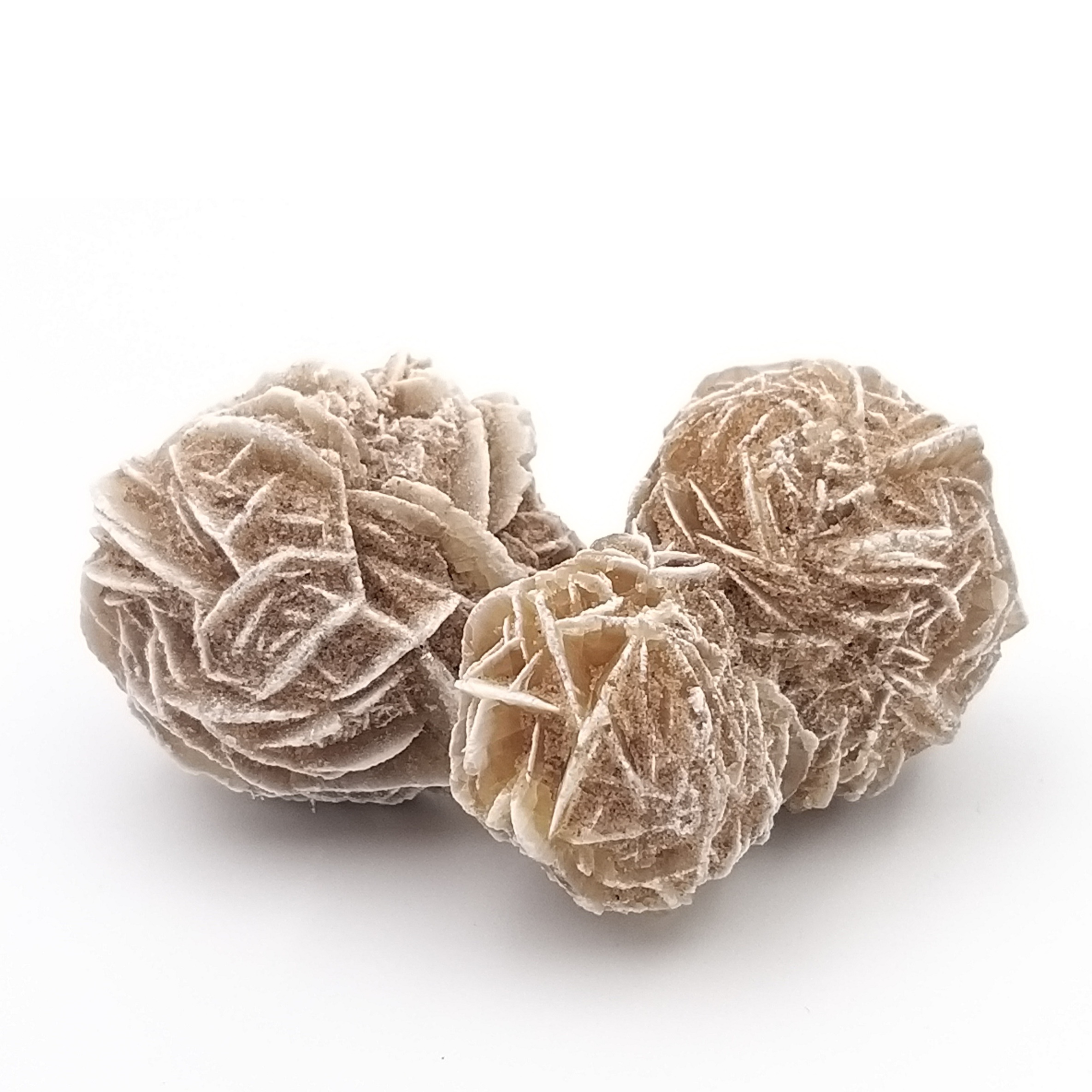 Desert Rose